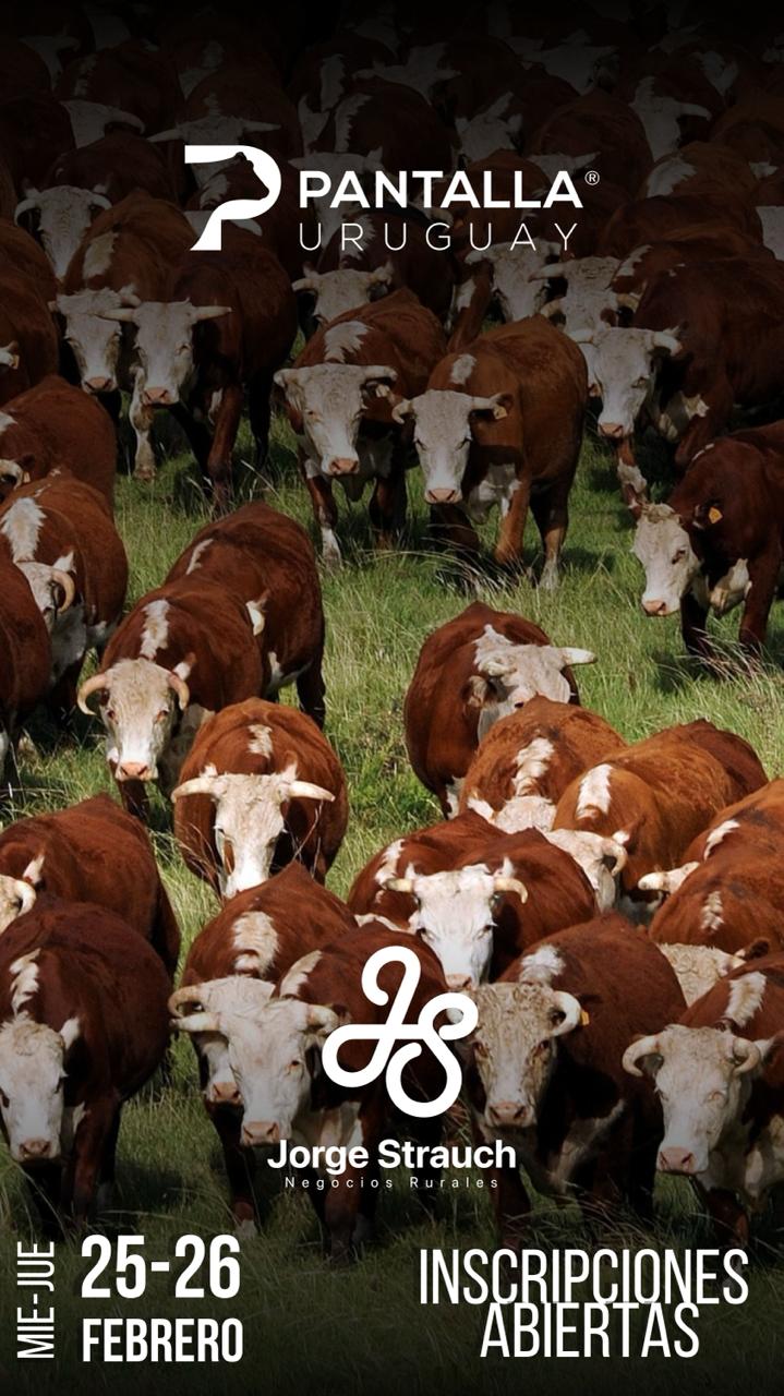 Remate 25 y 26 de Febrero - Local 33 en la calera