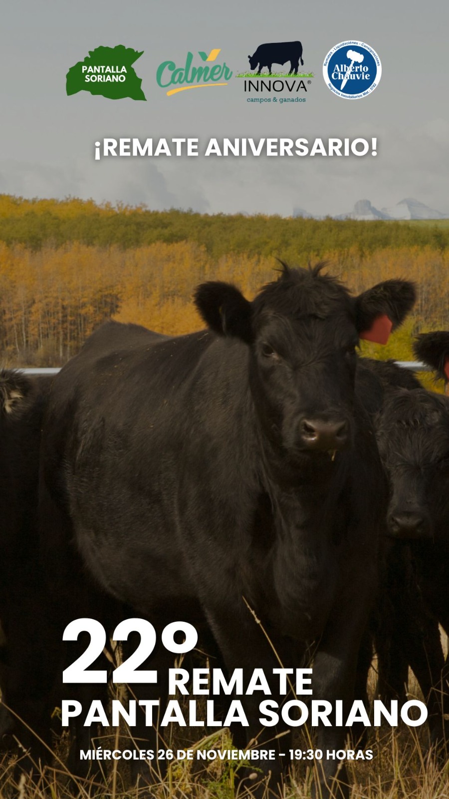 Remate 22º Pantalla Soriano
