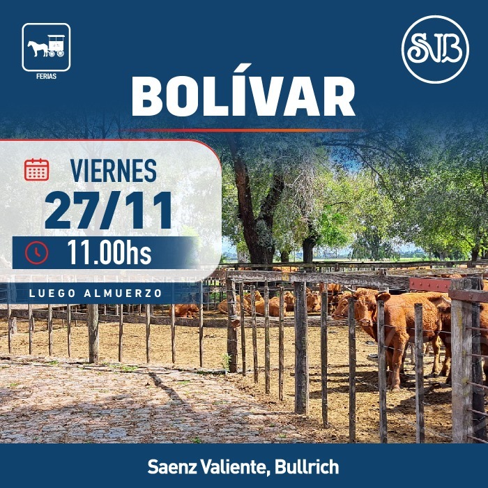 Afiche Feria en Bolívar