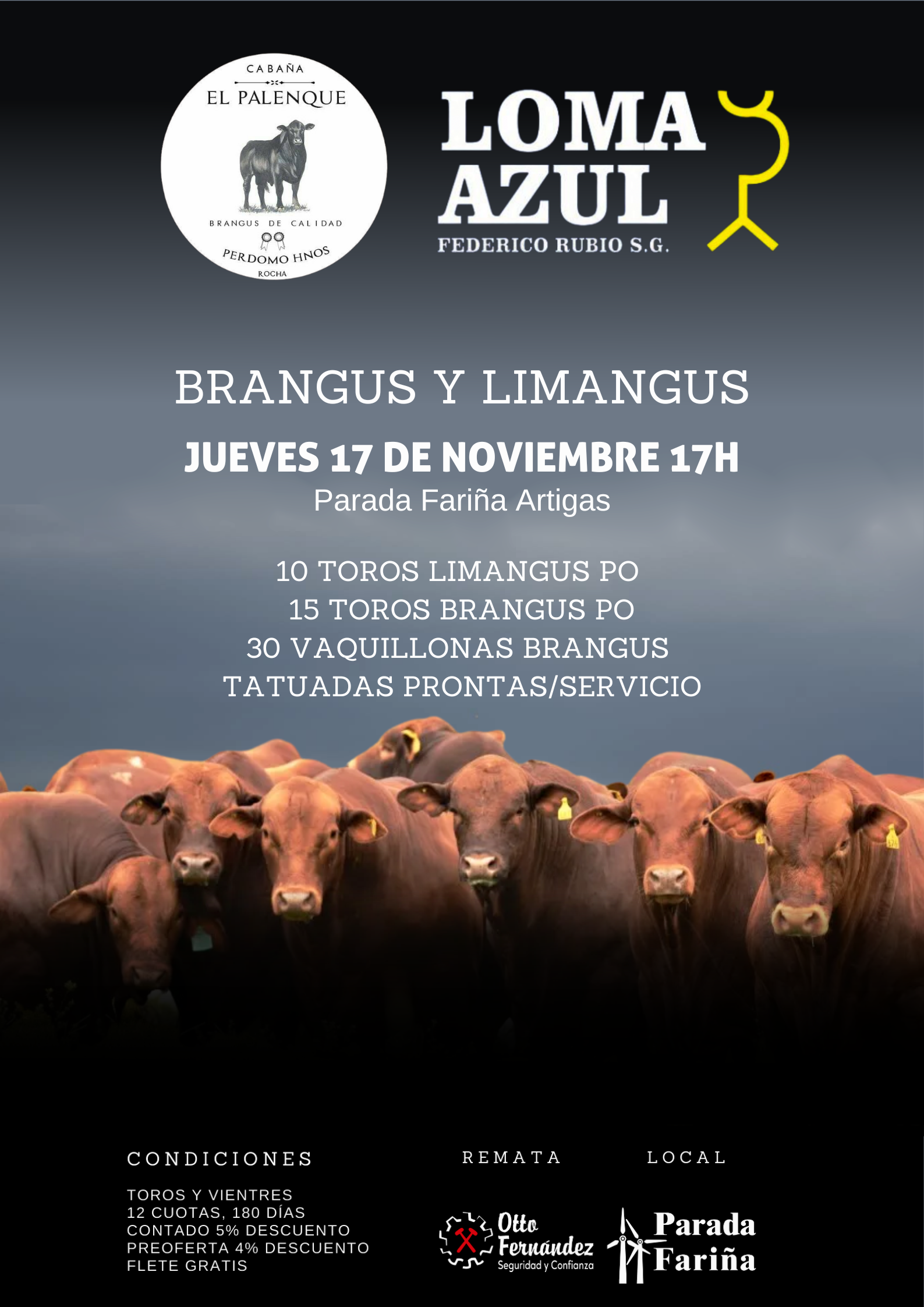 Afiche Cabaña El Palenque y Loma Azul