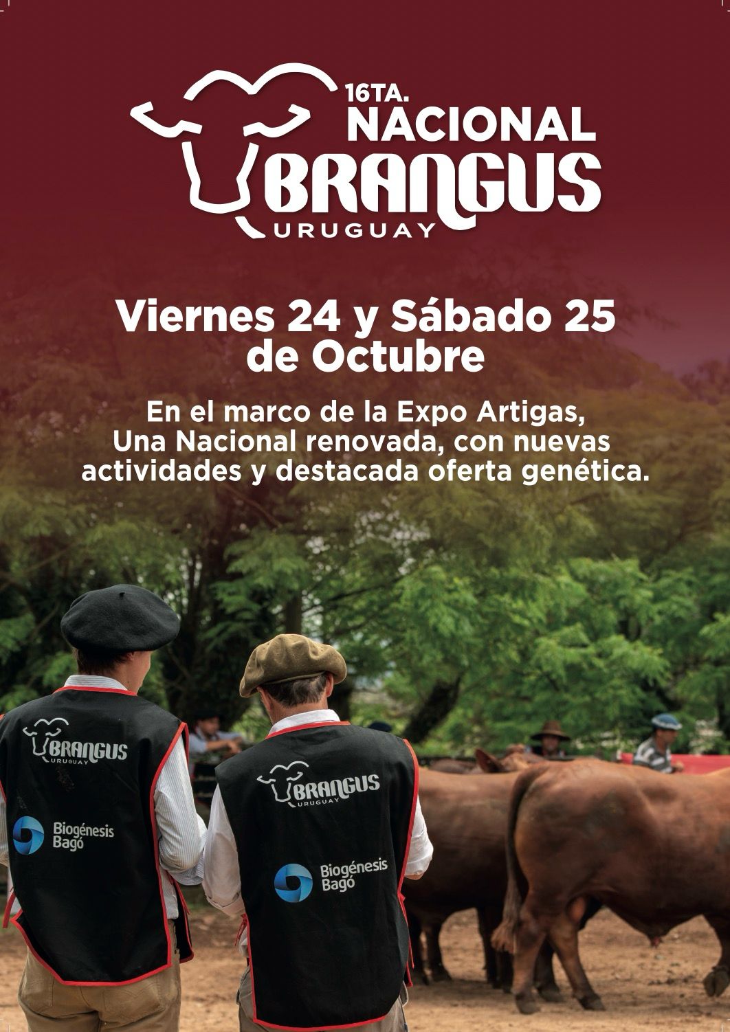Remate NACIONAL BRANGUS