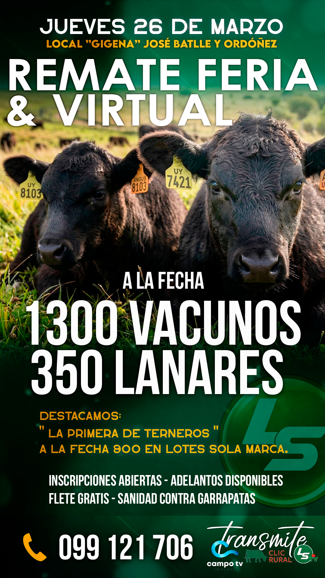 Remate REMATE FERIA & VIRTUAL "LA PRIMERA DE TERNEROS"