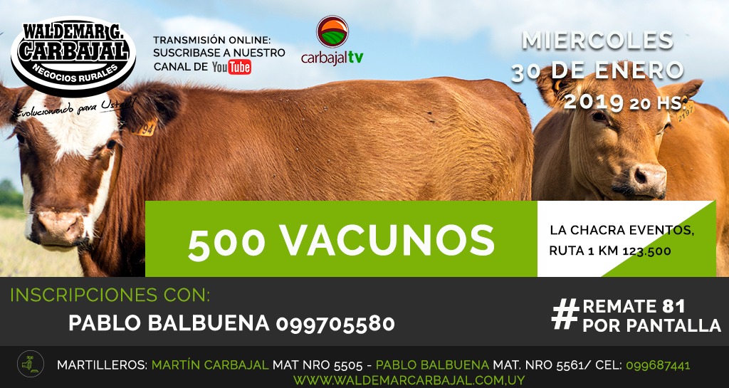 Afiche Pantalla #81