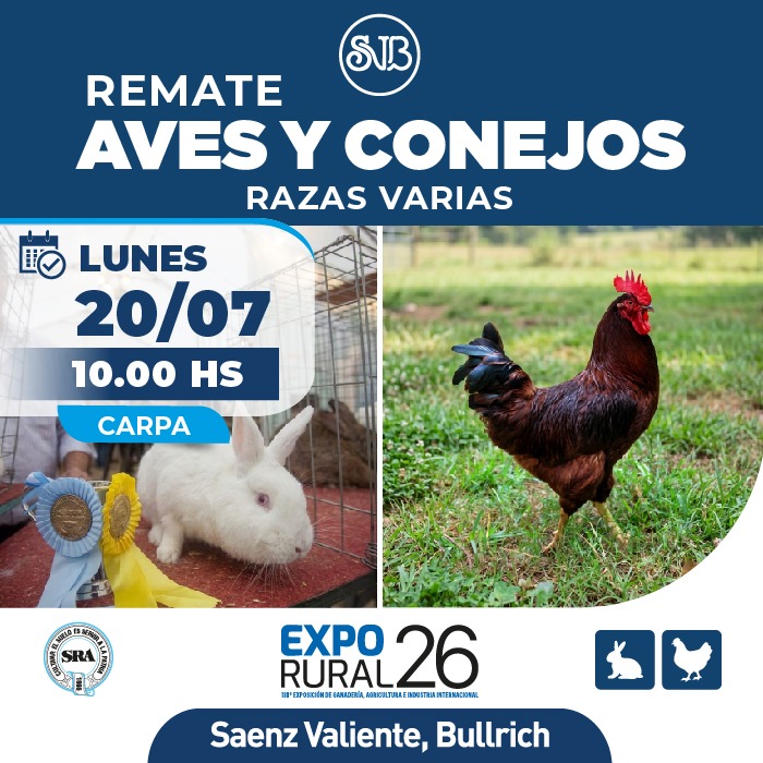 Aves y Conejos