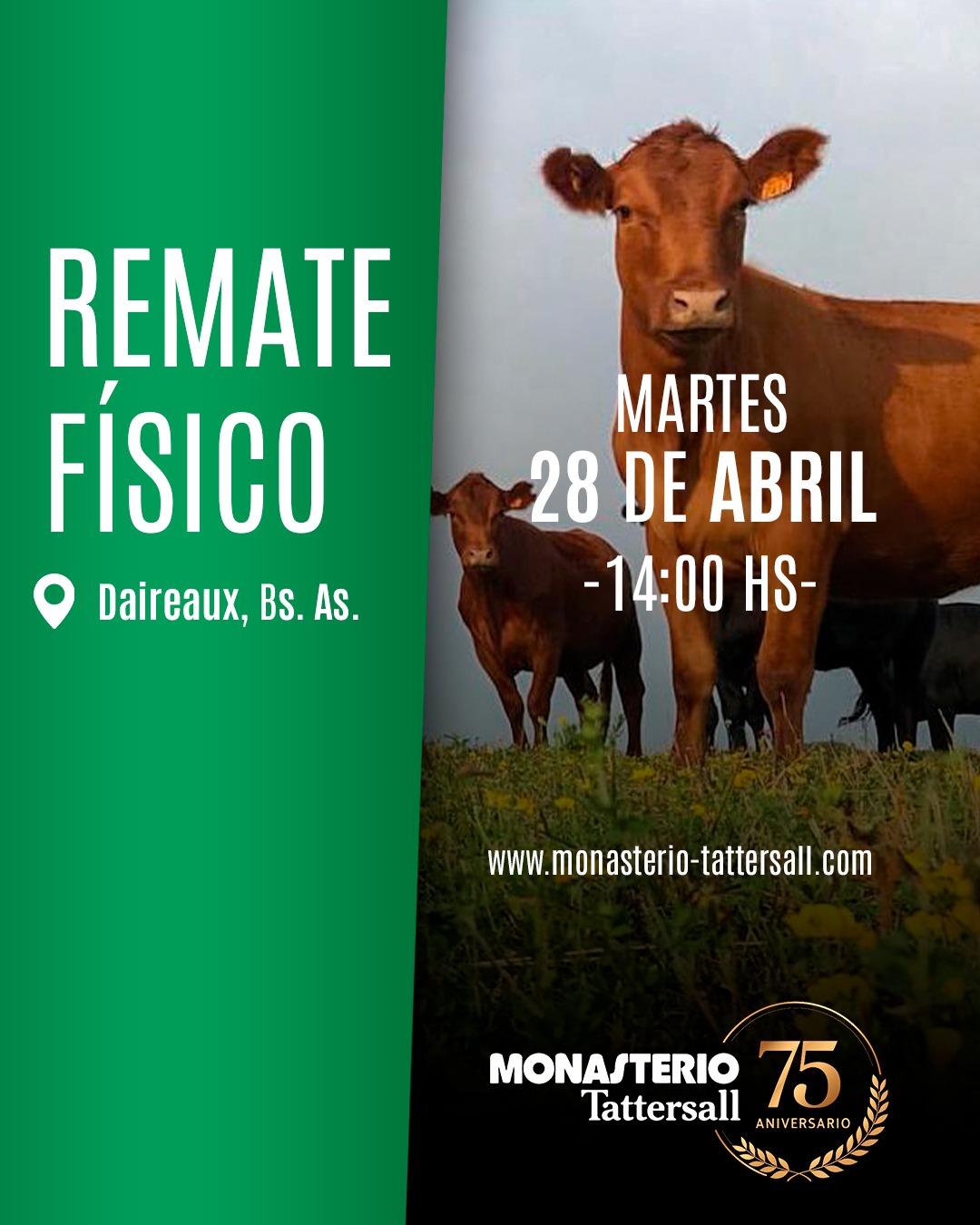 Remate Físico Daireaux 