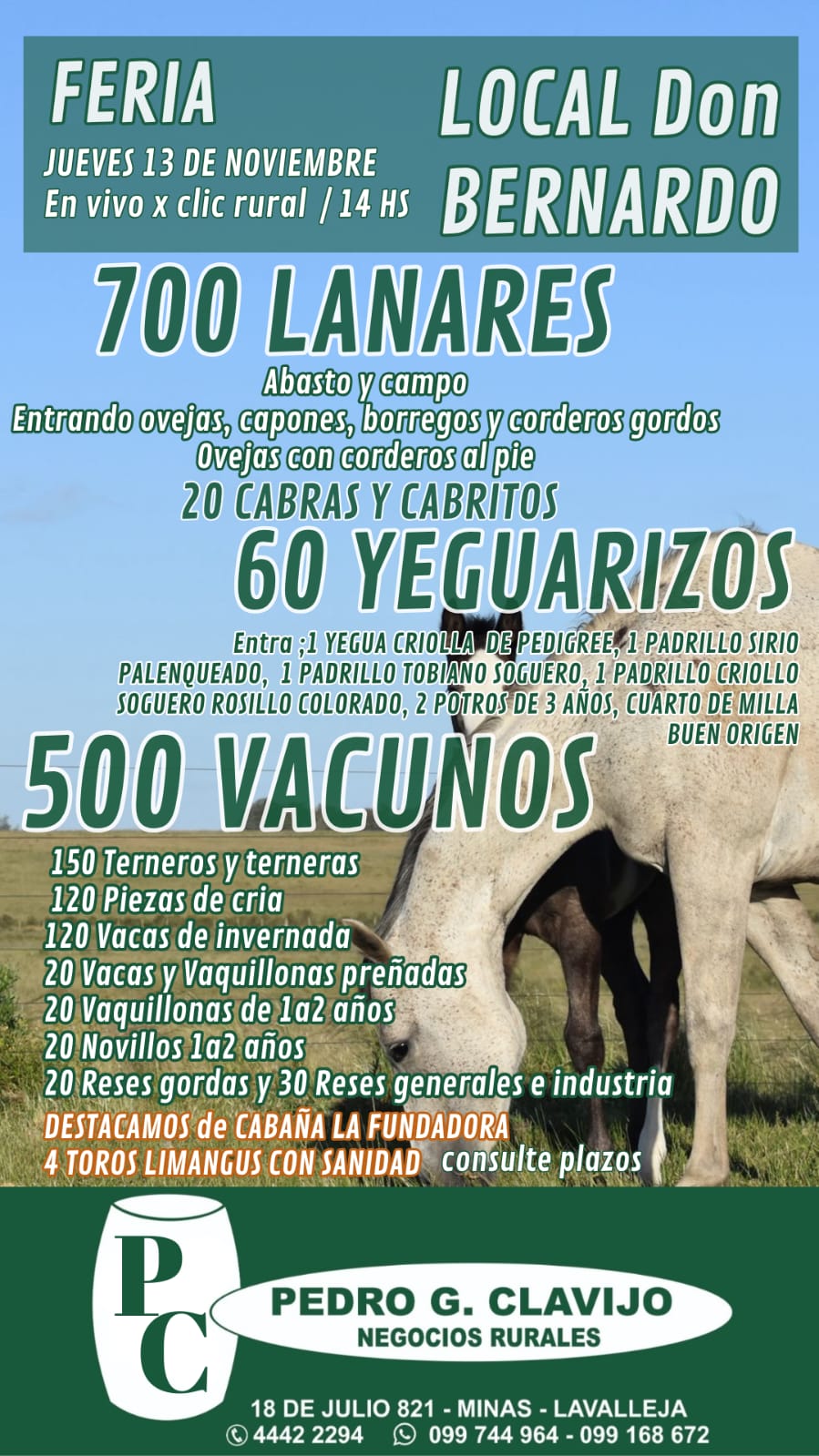 Remate Feria Mensual - Pedro G Clavijo