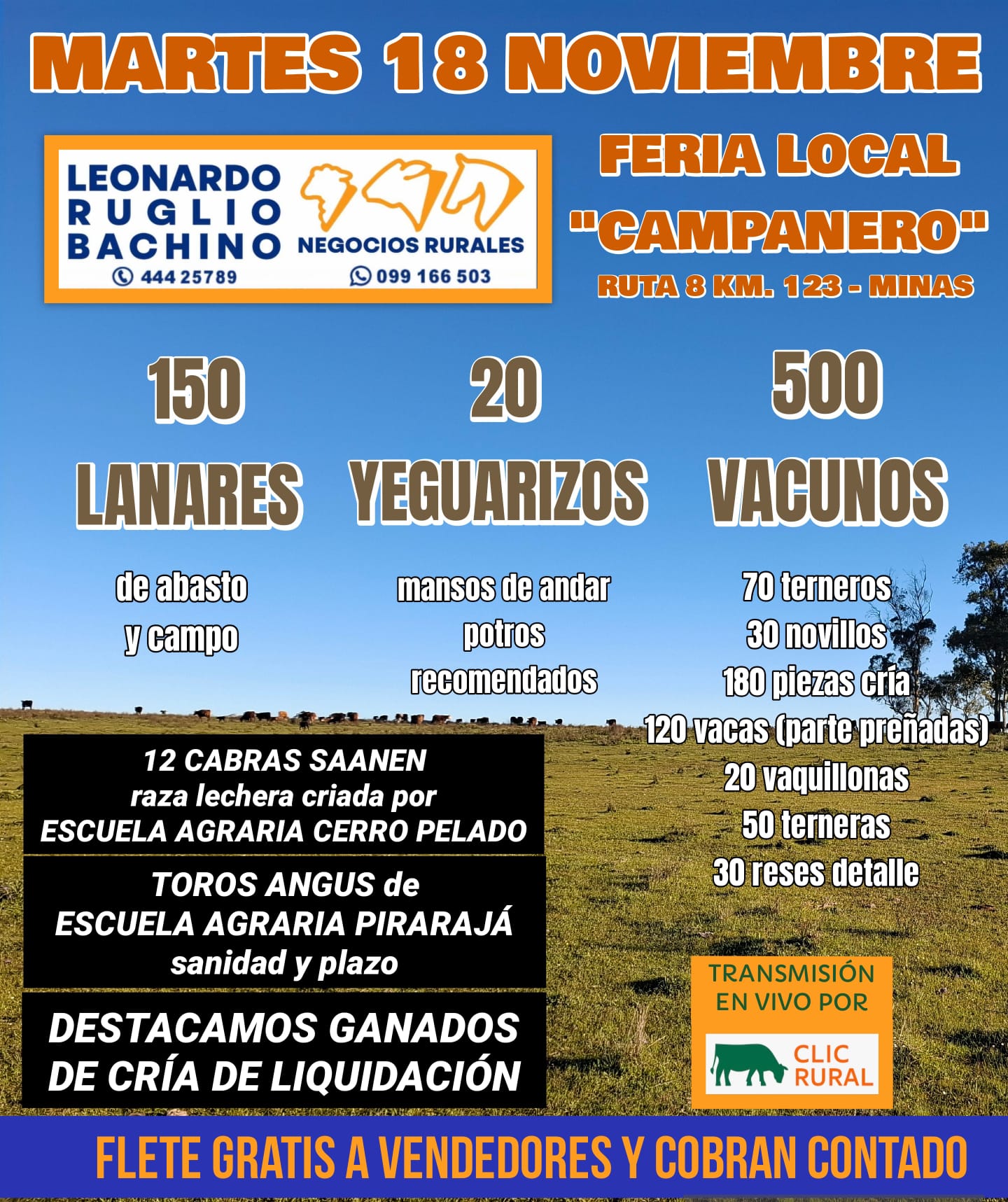 Remate Feria Mensual