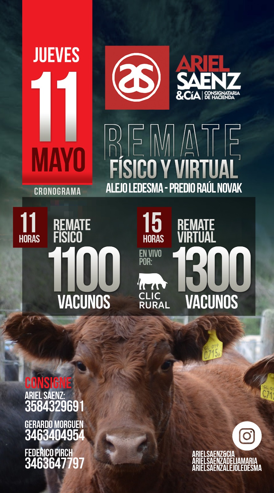 Afiche 3º Remate: Fisico y Virtual