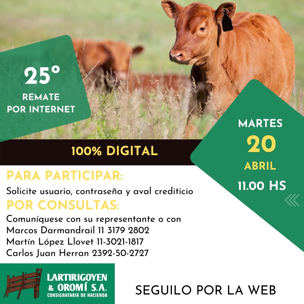 Afiche 25º Remate por Internet