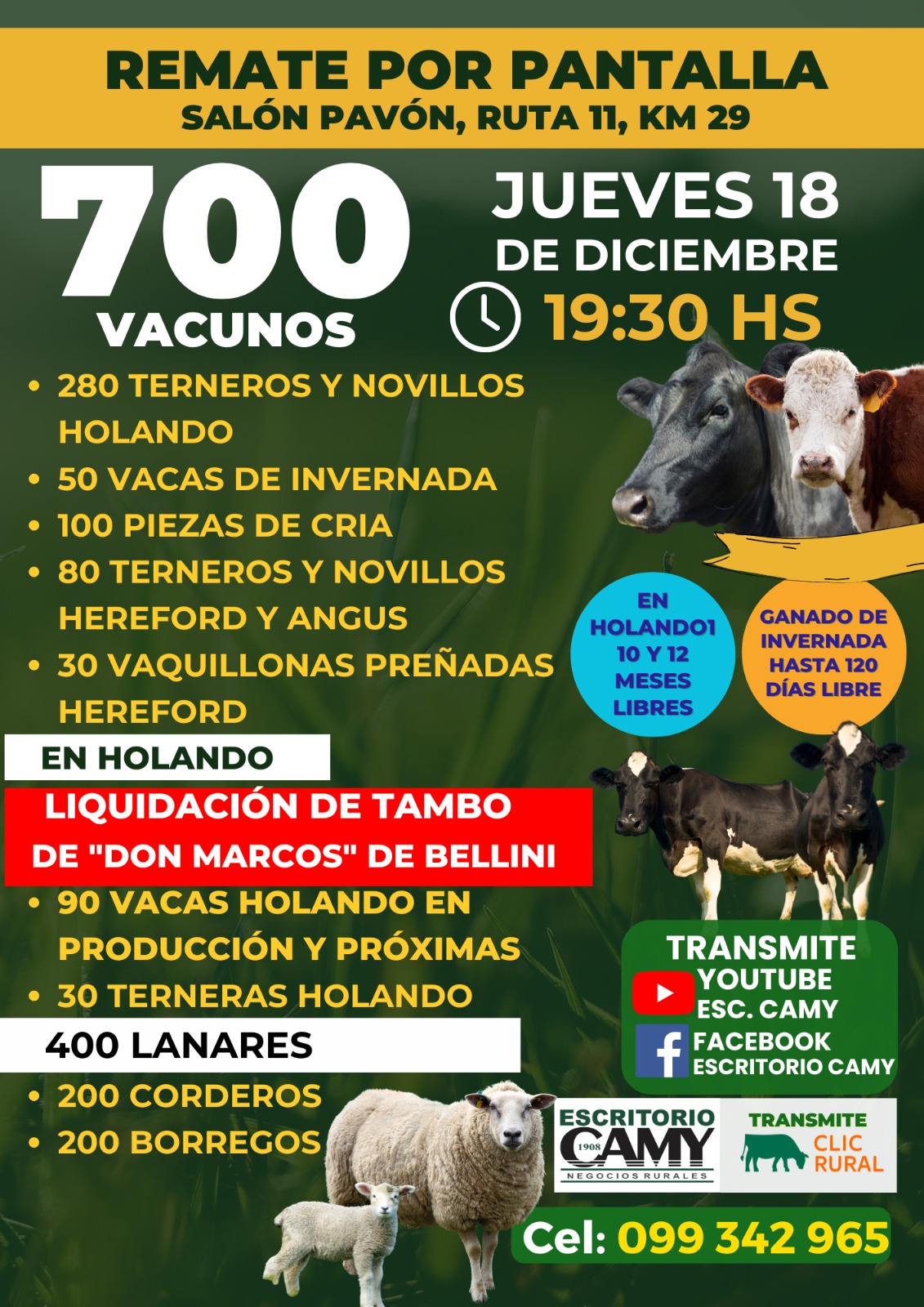 Ultima pantalla del año - Escritorio Camy