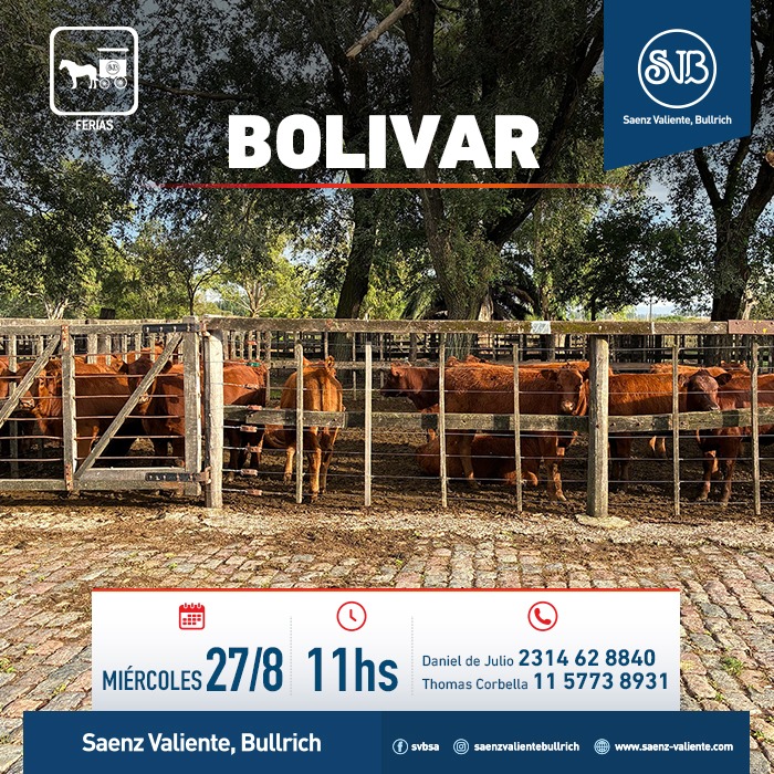 Feria en Bolivar