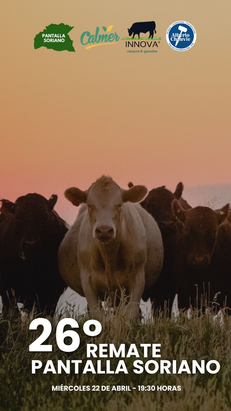Remate 26º Pantalla Soriano
