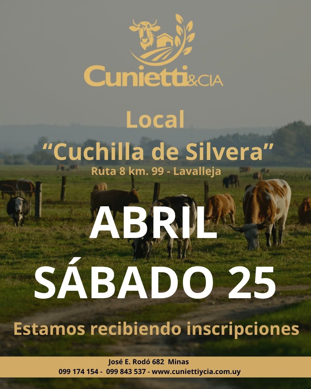 Remate Feria Mensual - Cunietti y Cia