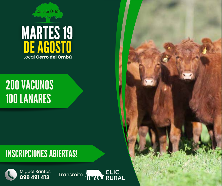 Remate Feria Mensual - Cerro del Ombu