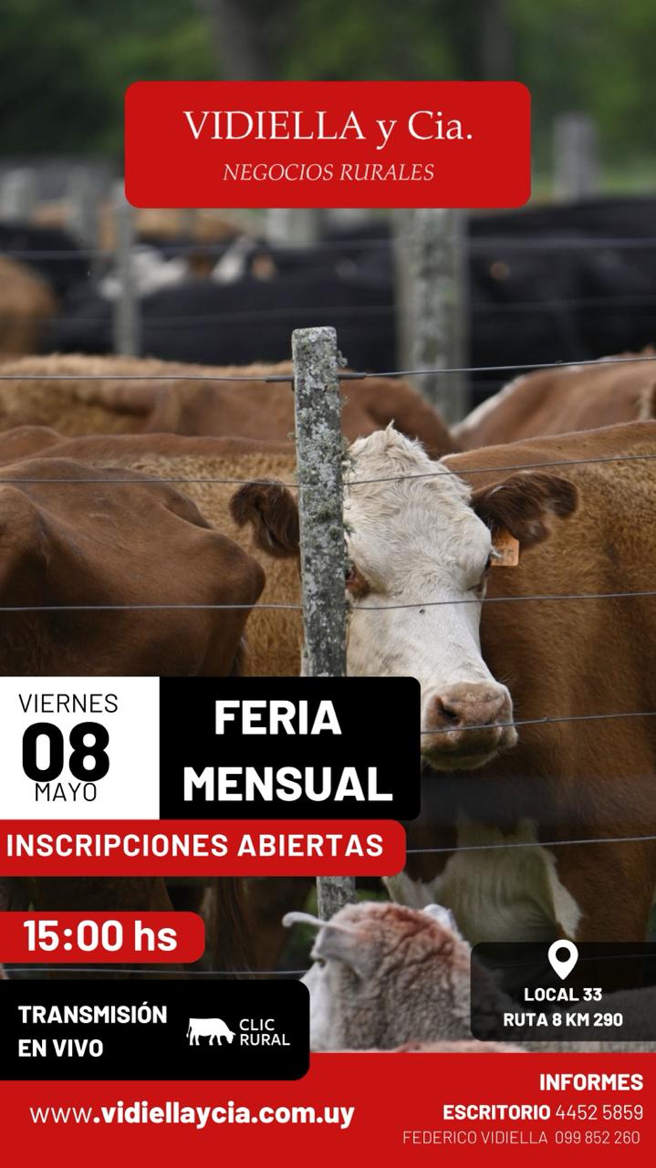 Feria Mensual - Vidiella y Cia