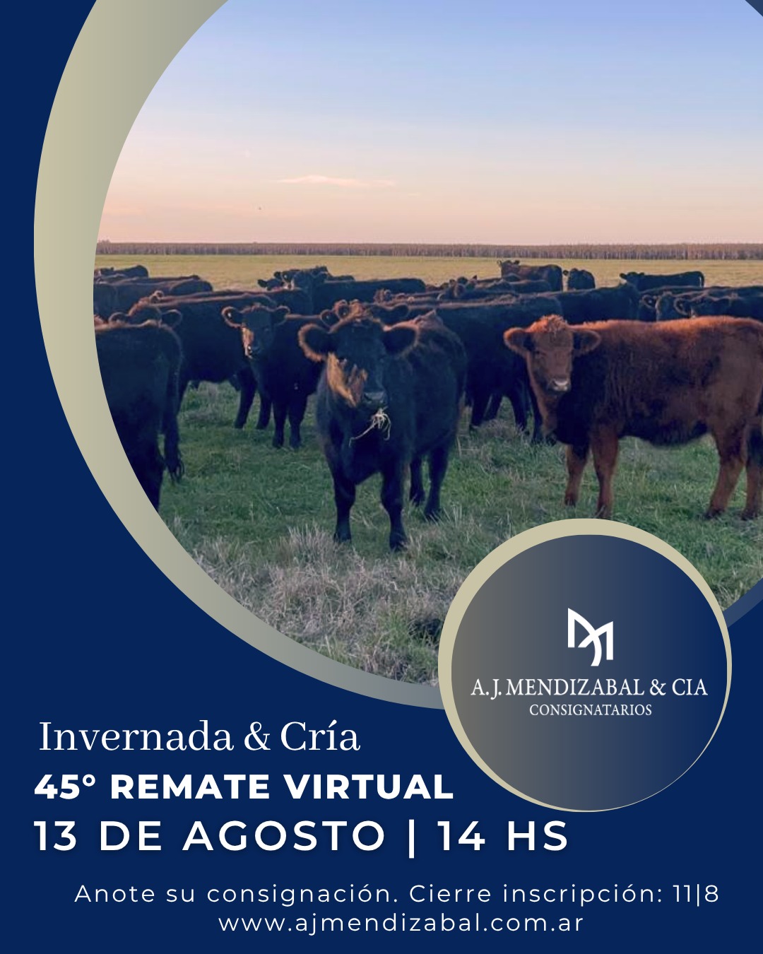 Remate 45° Remate Virtual