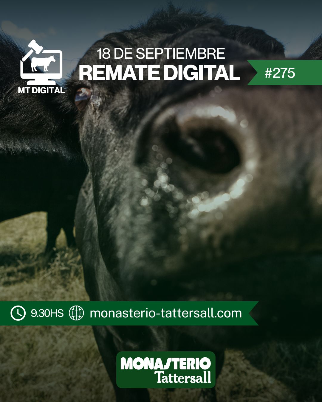 Remate Remate Digital 275°