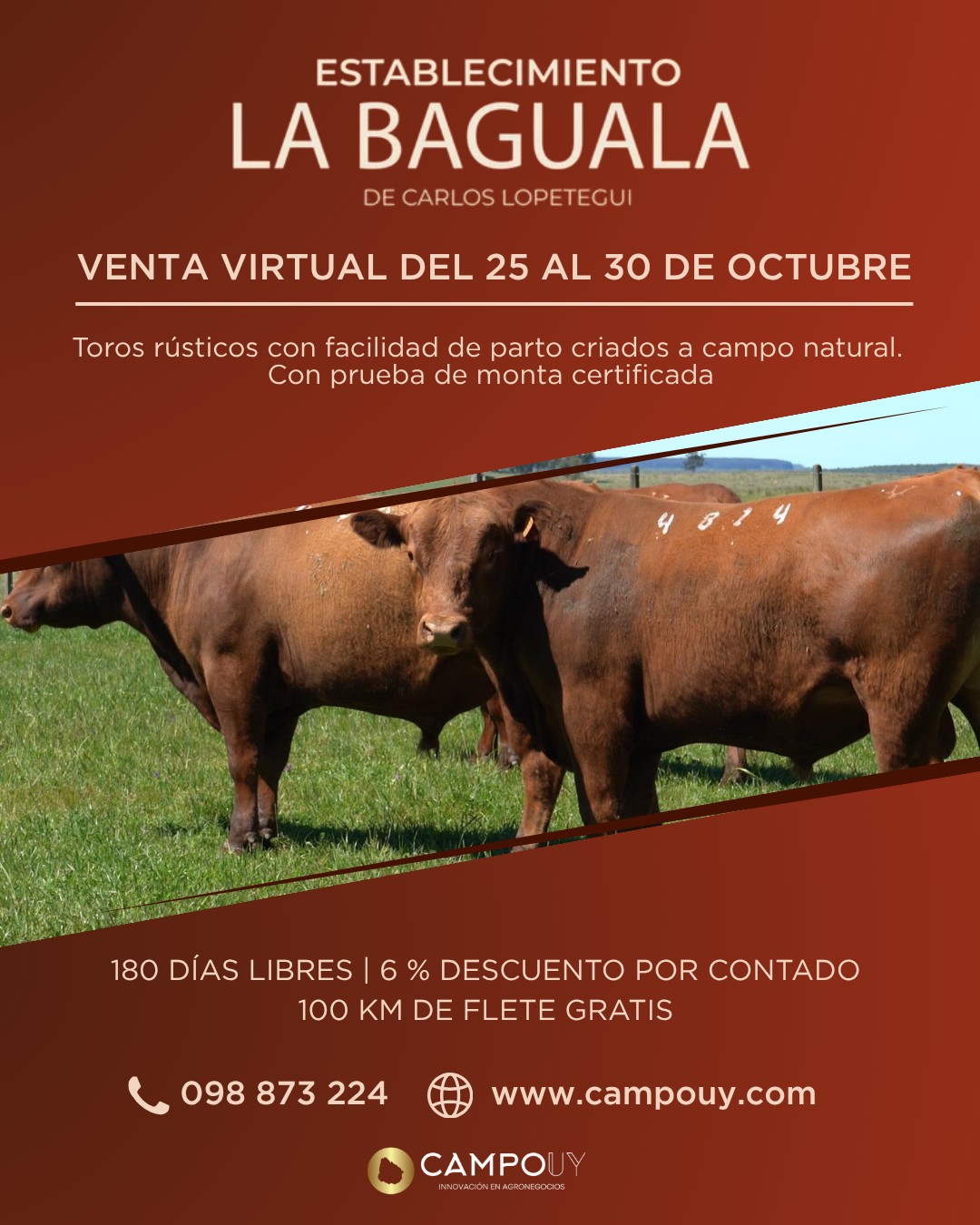 Venta virtual - Establecimiento la Baguala