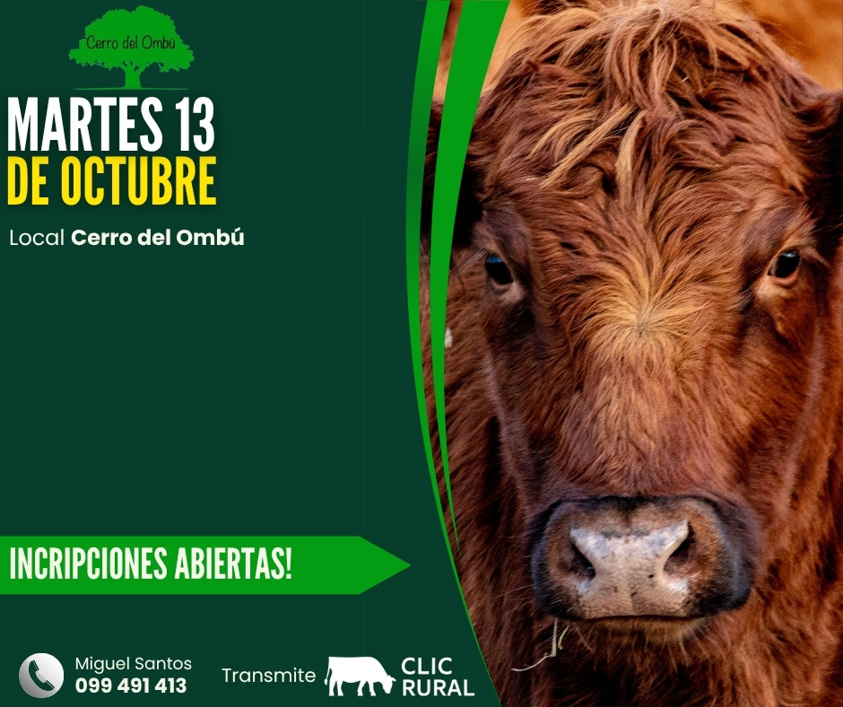 Remate Feria mensual - Cerro del Ombú