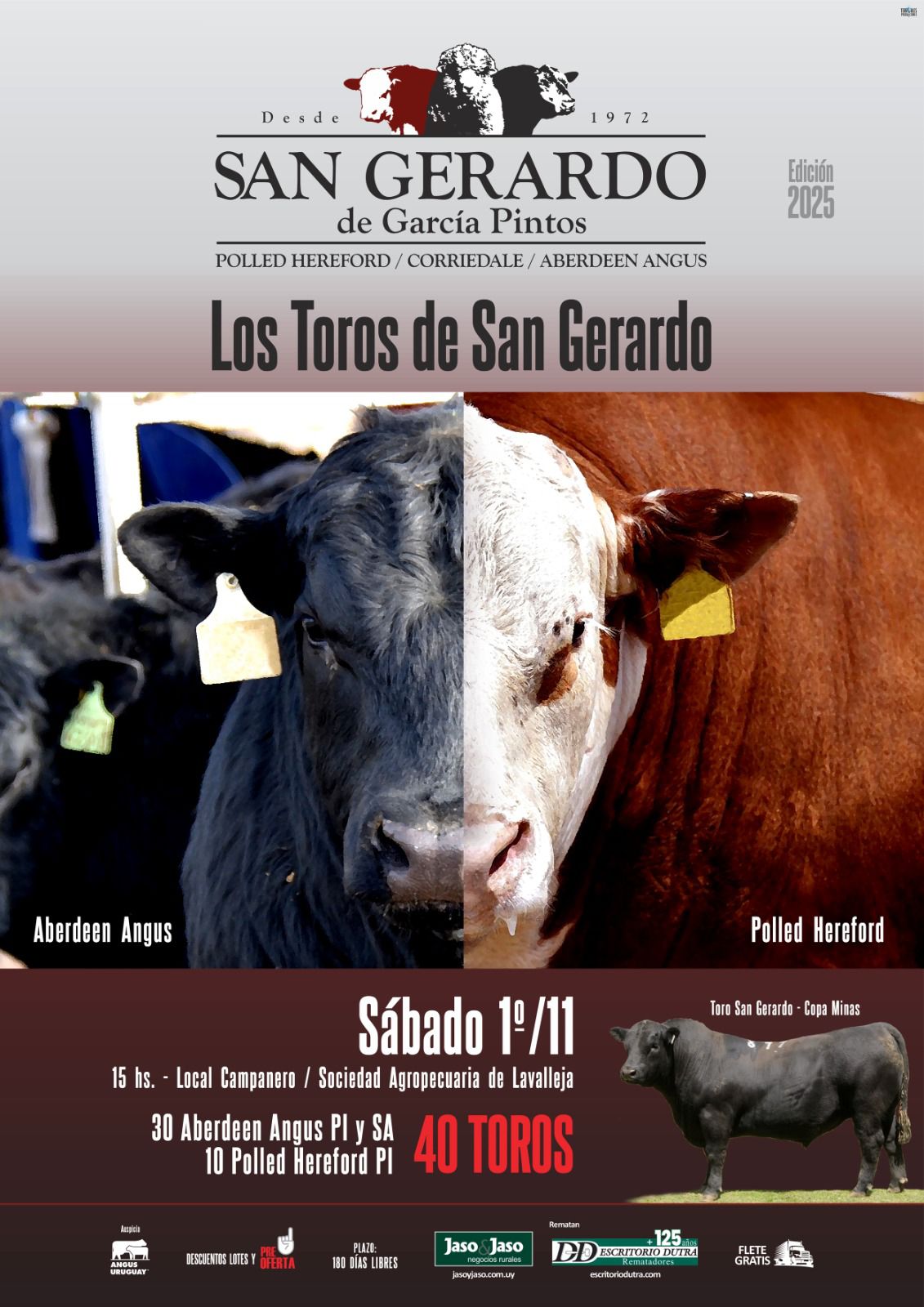 Remate Toros de San Gerardo