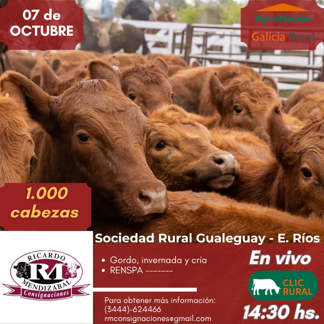Remate Remate