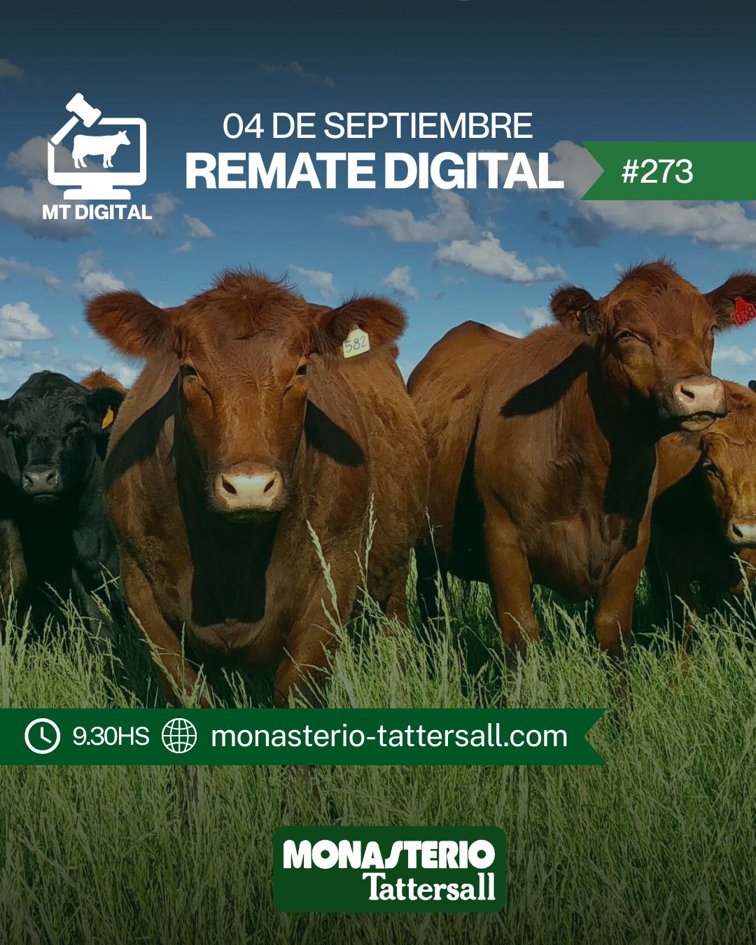 Remate Remate Digital 273°