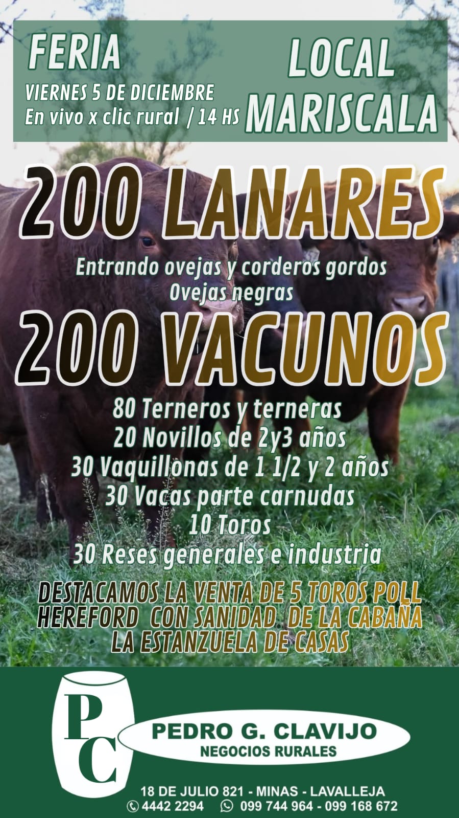 Remate Feria Mensual - Mariscala