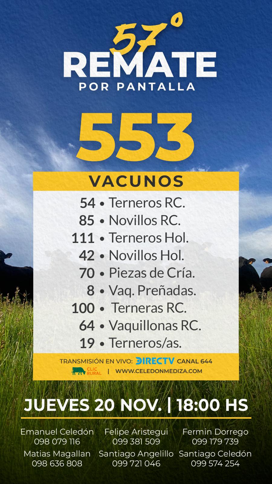 Remate 57º Remate por Pantalla