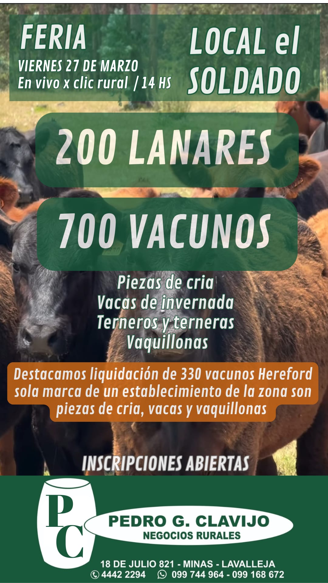 Feria en Local el Soladado