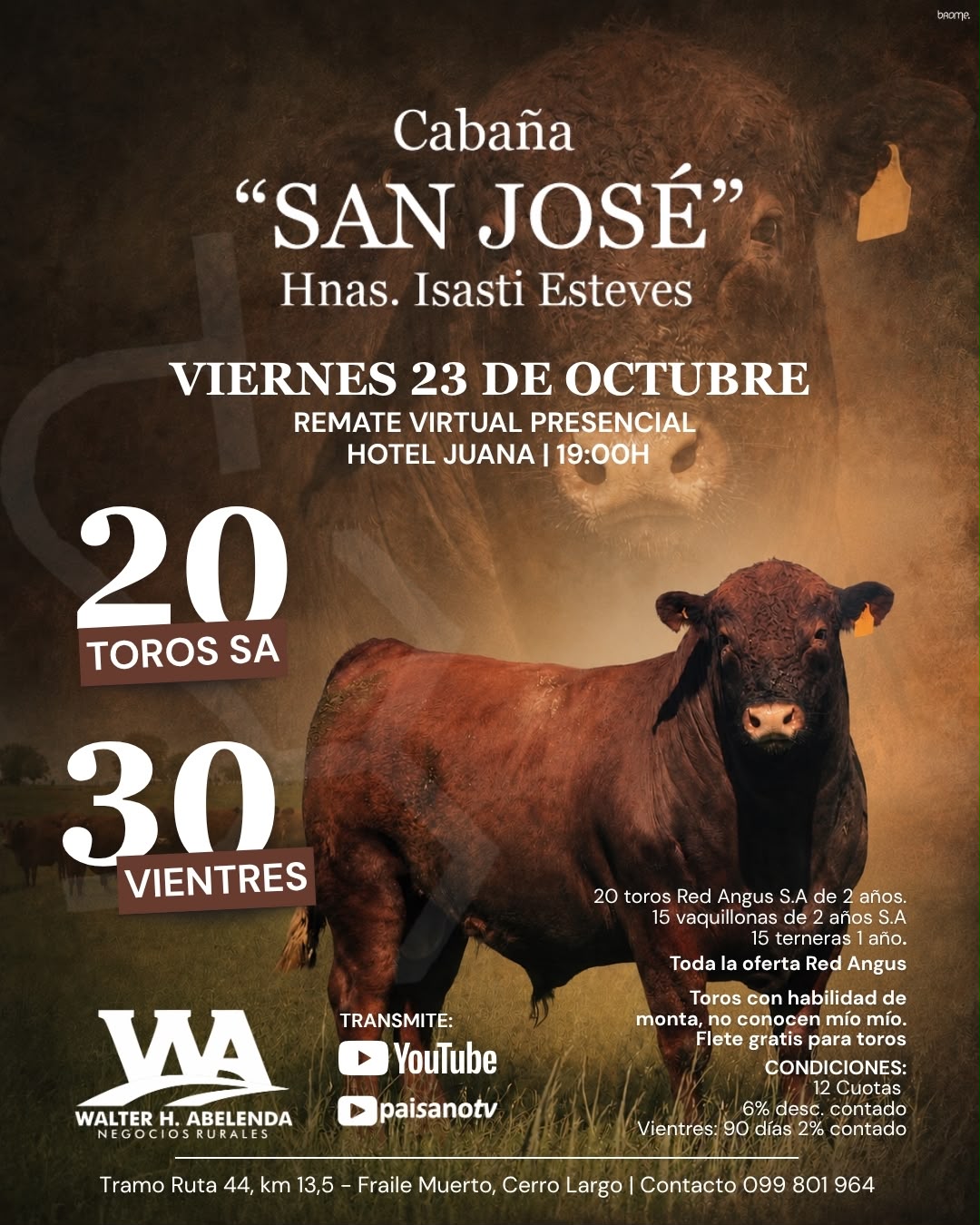 Cabaña San Jose