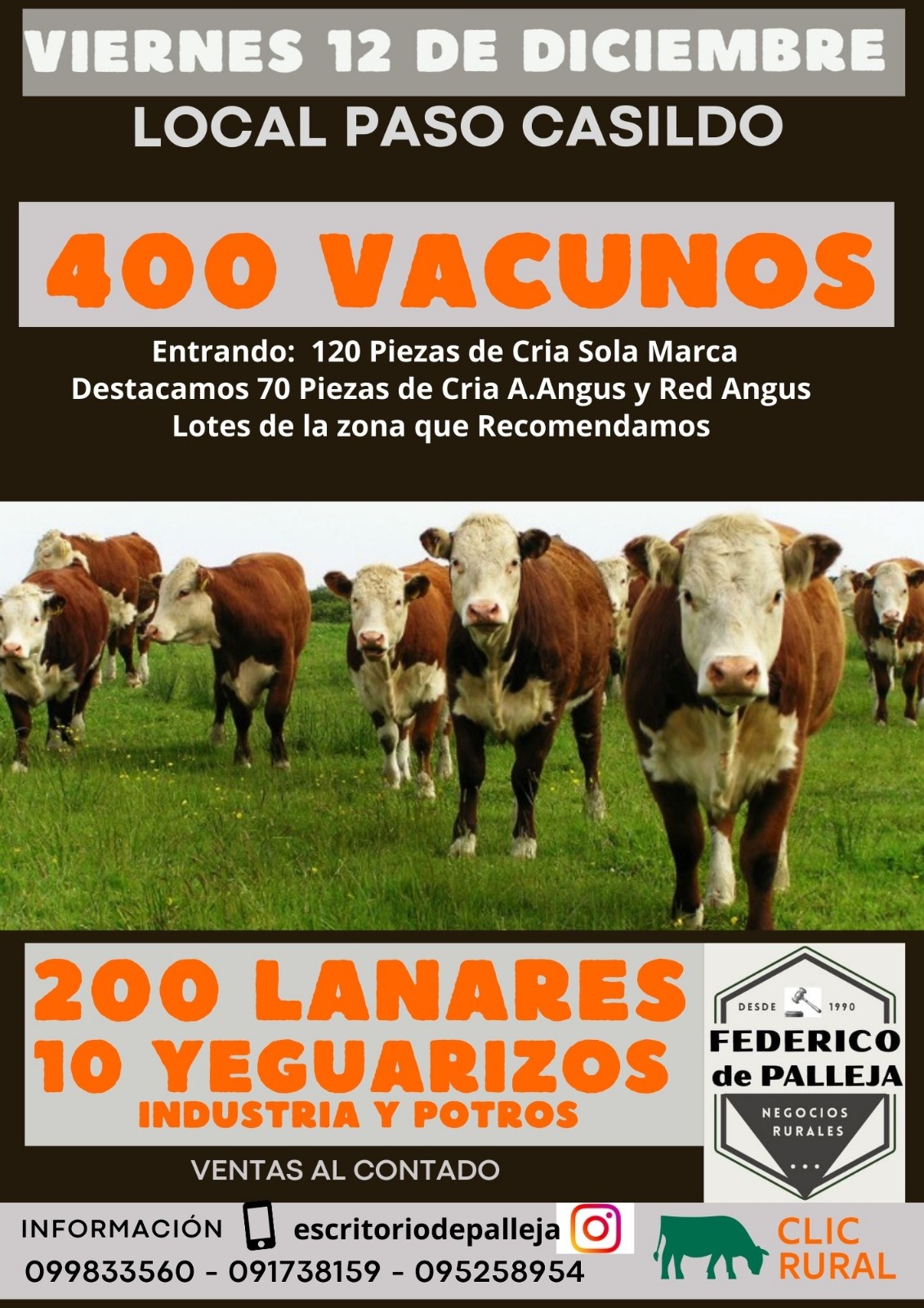 Remate 12 de Diciembre - Local Paso Casildo