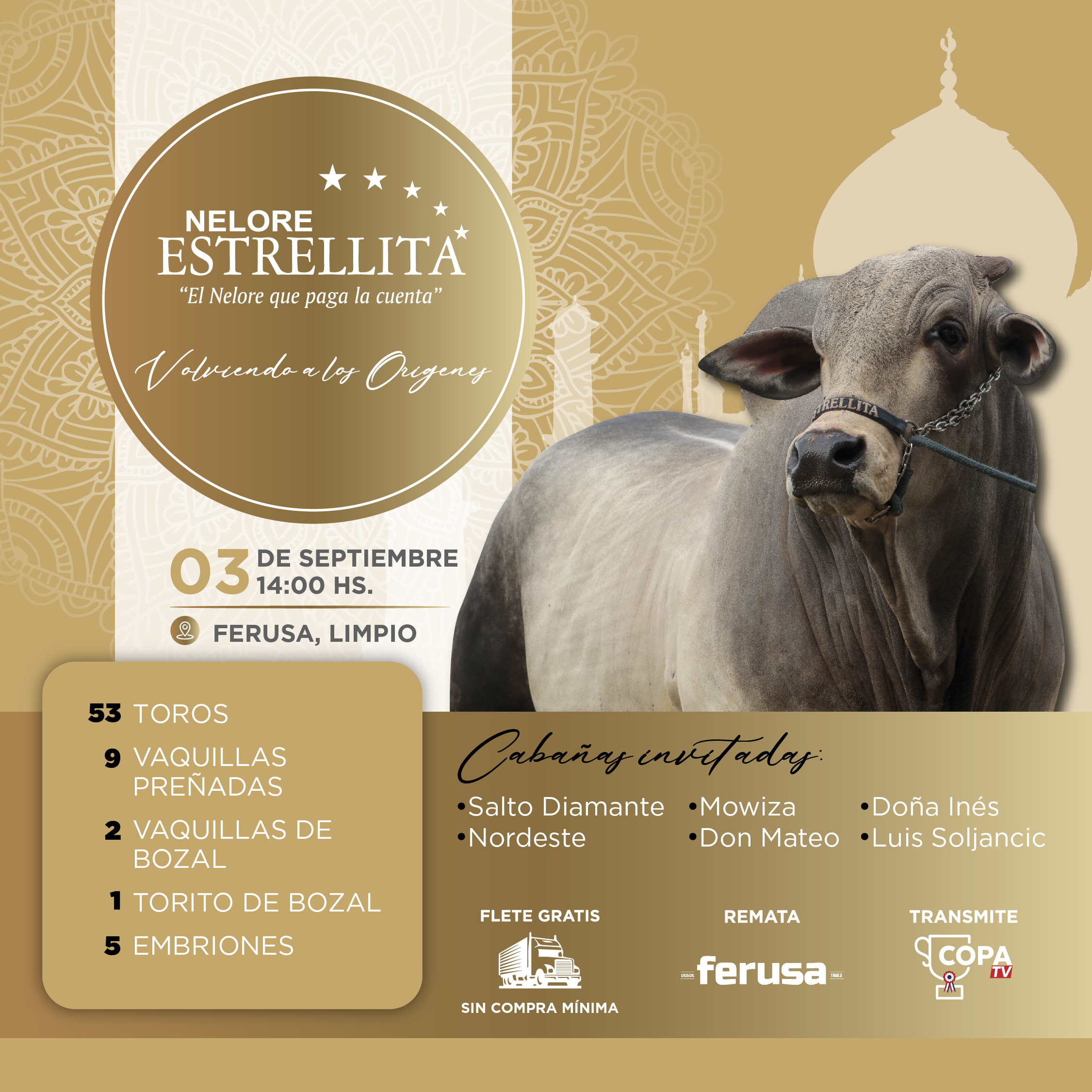 Afiche FERIA DE REPRODUCTORES NELORE ESTRELLITA