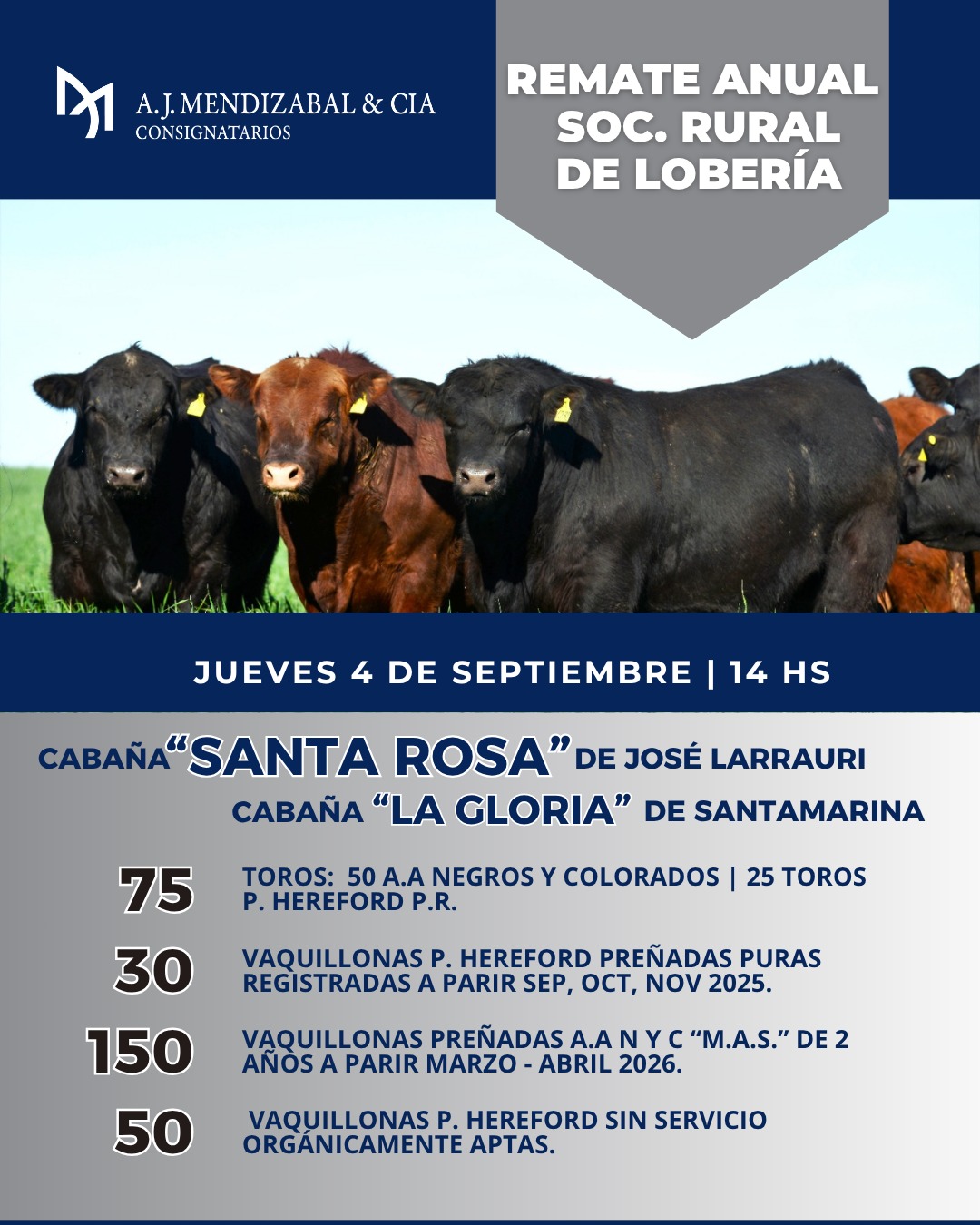 Remate anual 2025 sociedad rural de Lobería 
