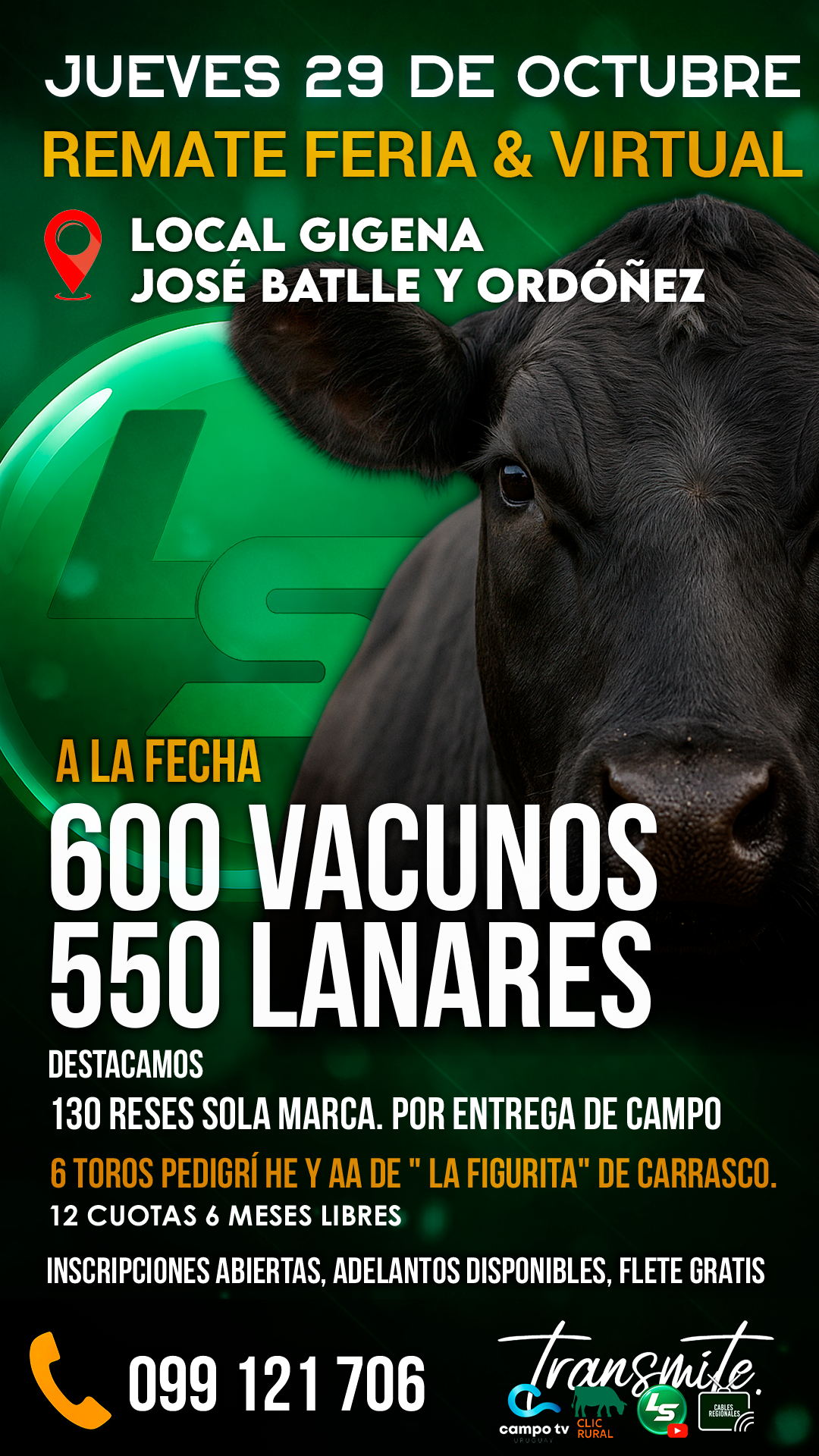 REMATE FERIA & VIRTUAL