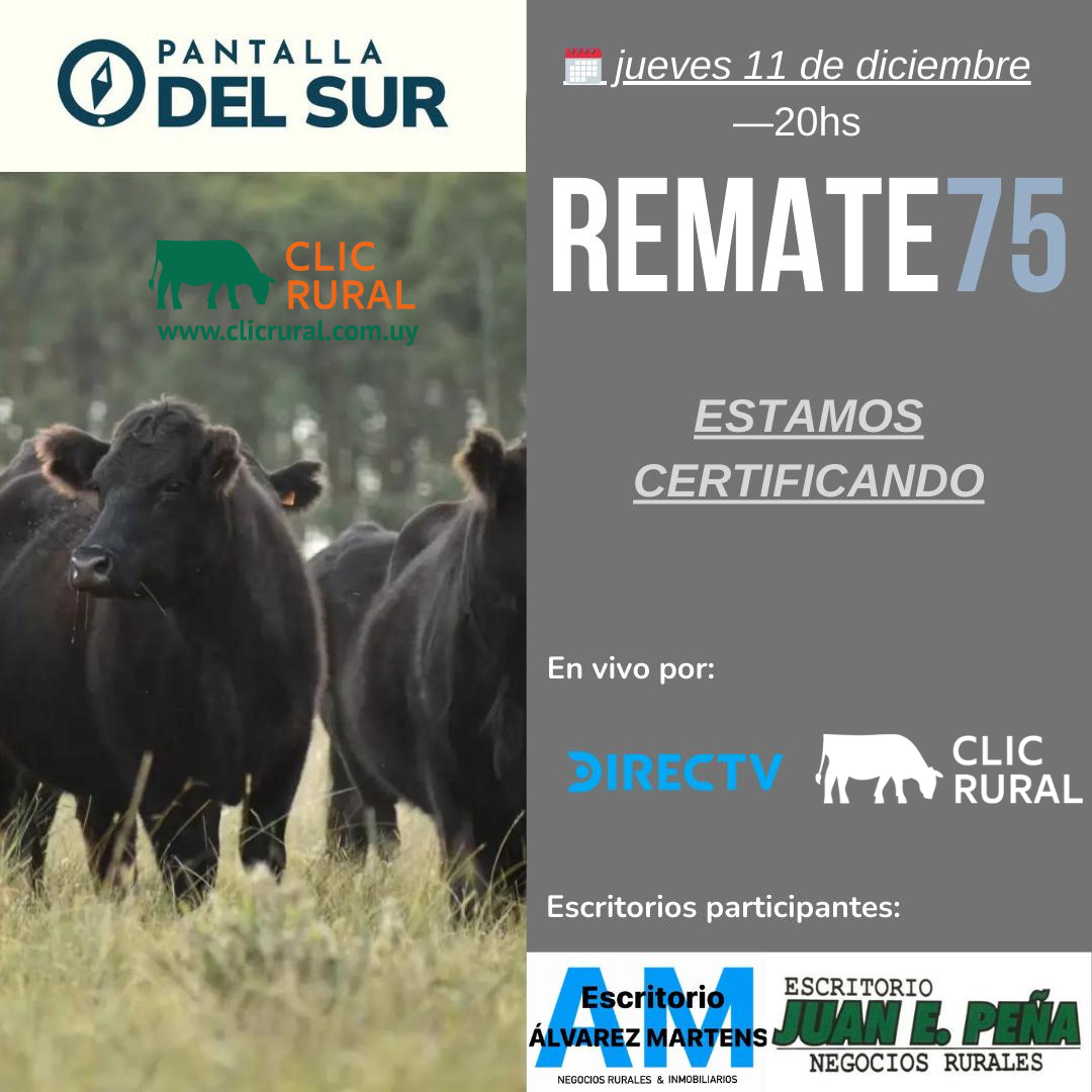 Remate 75º Pantalla del Sur