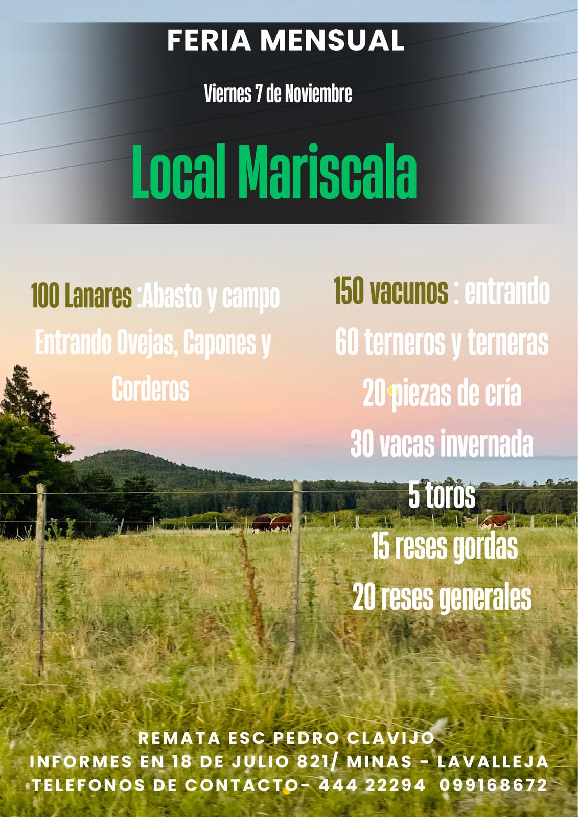 Remate Feria Mensual - Pedro G Clavijo