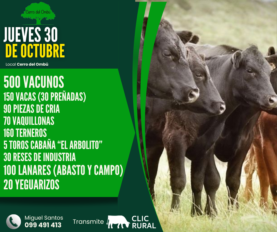 Remate Feria Mensual - Cerro del Ombu