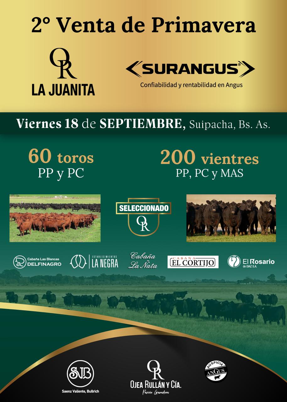 Surangus