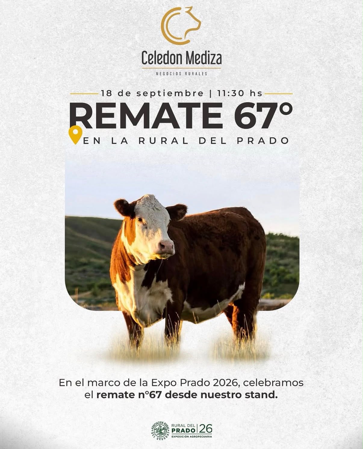 Remate 67º Remate por Pantalla