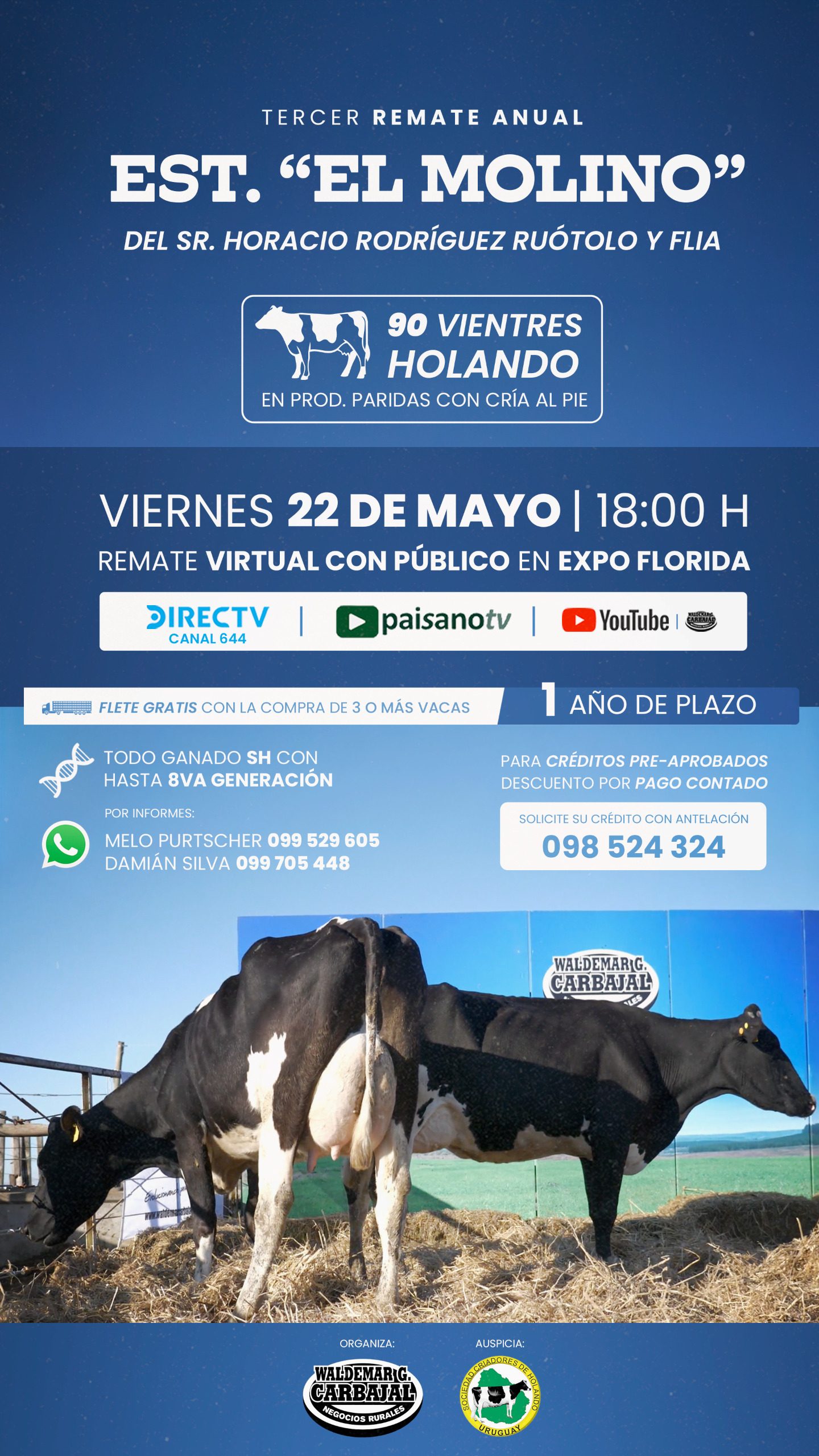 3º Est. "El Molino"