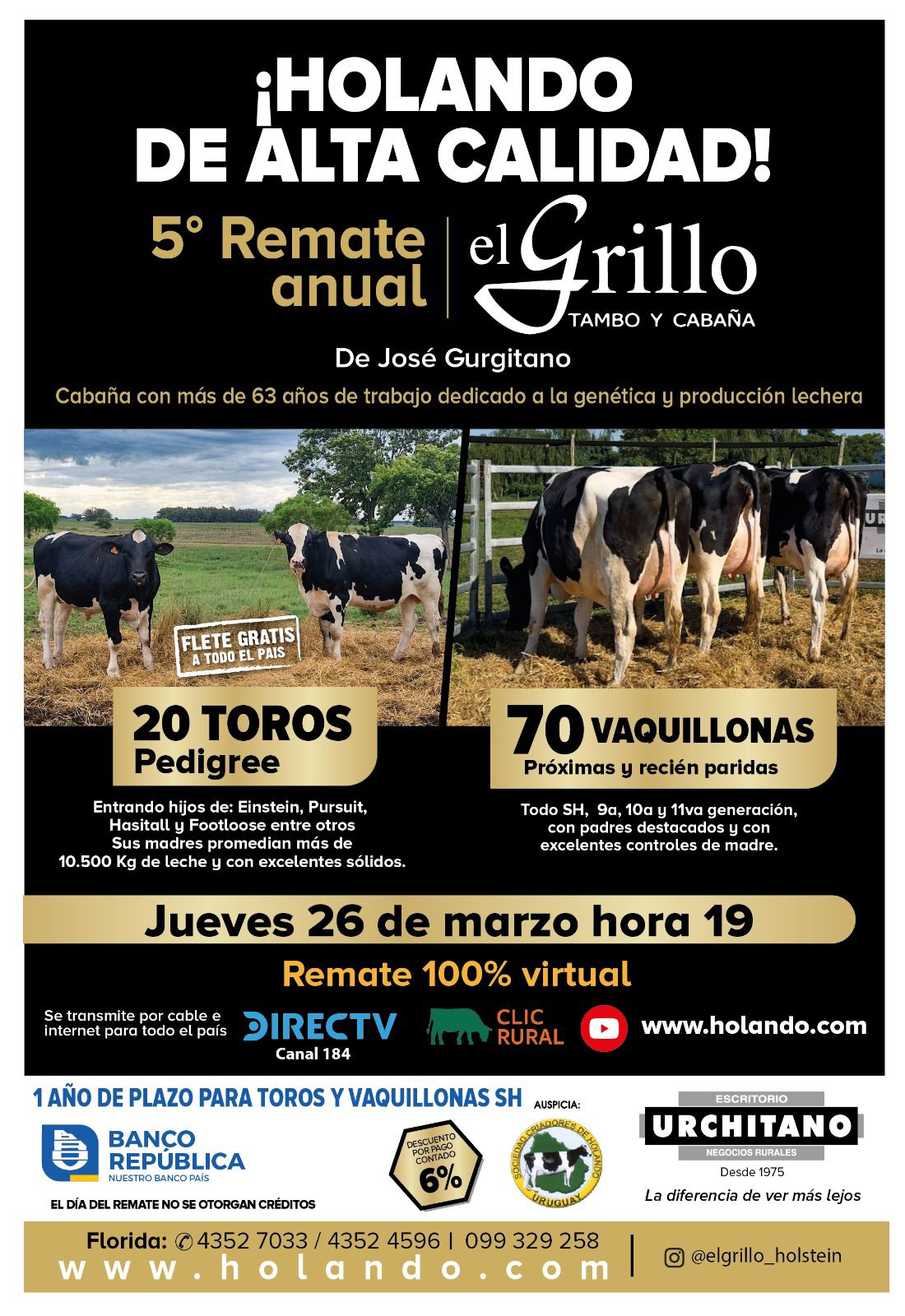 Remate 5º El Grillo de Gurgitano