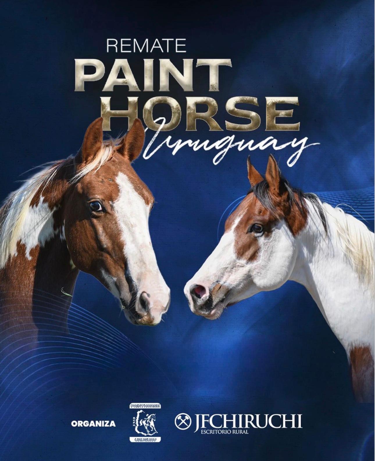 6TO REMATE PAINT HORSE URUGUAY