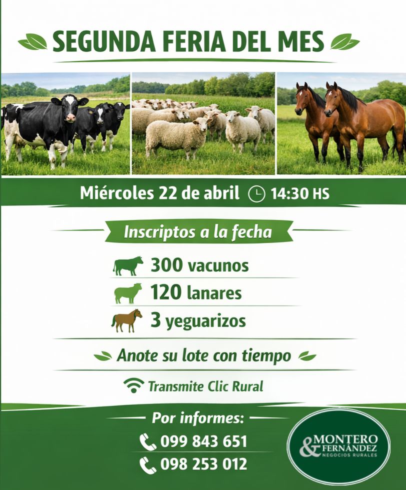 Remate Segunda feria del mes