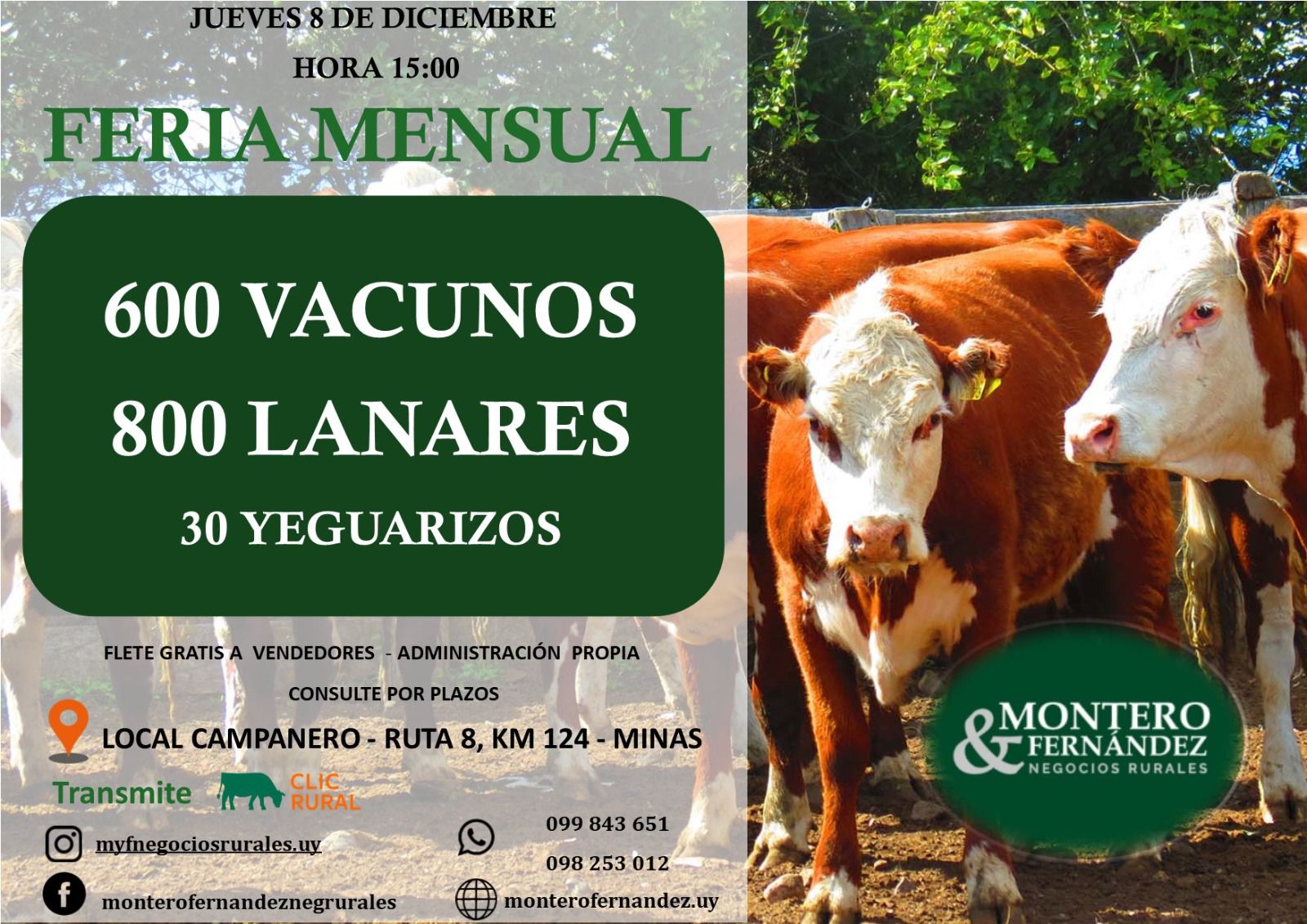 Afiche Feria Mensual