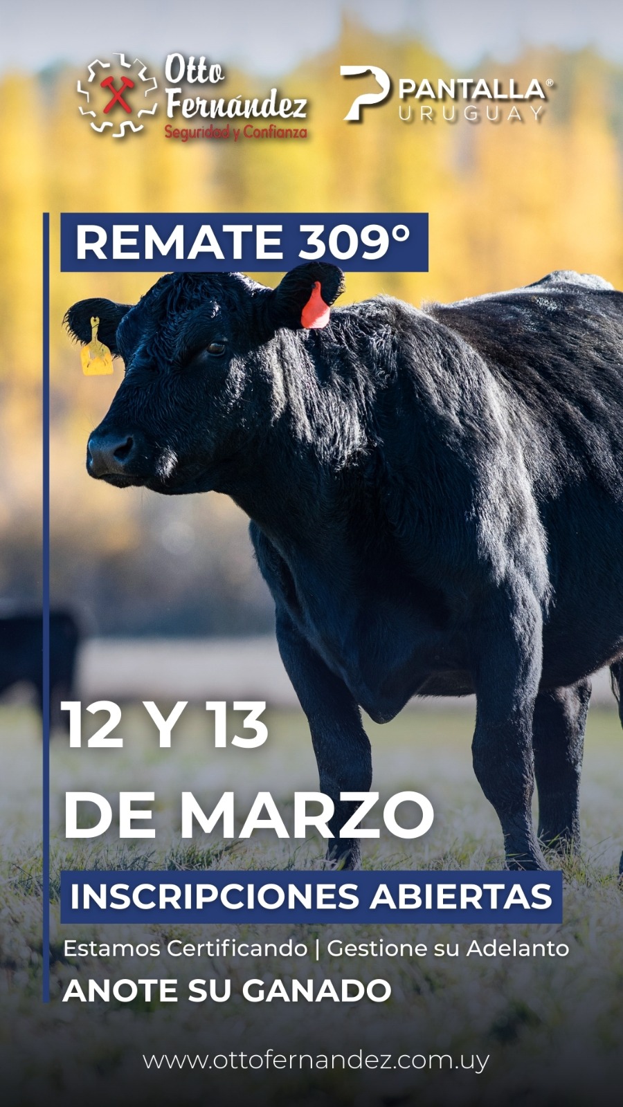 309º remate Pantalla Uruguay