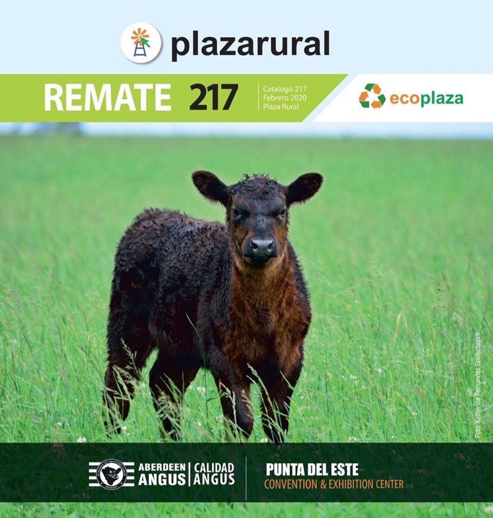 Afiche ANGUS - Especial de Punta del Este