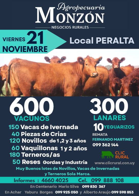 Remate 21 de Noviembre - Local Peralta