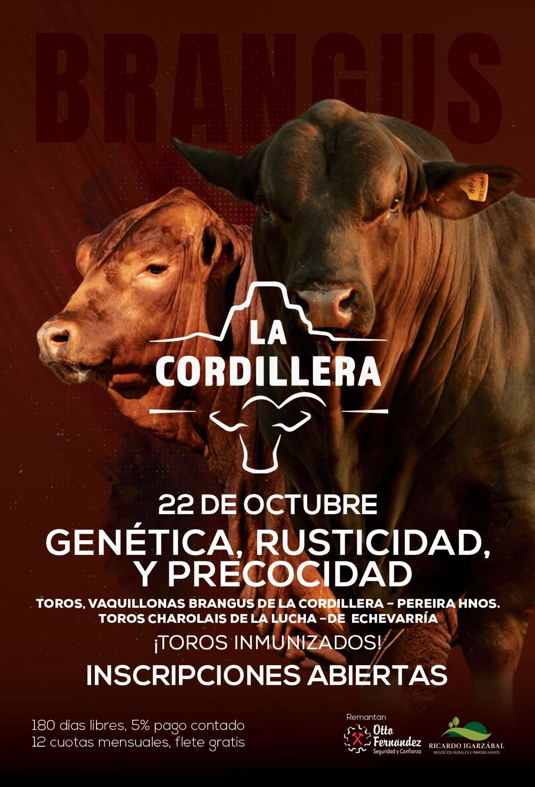 Remate La Cordillera - Brangus