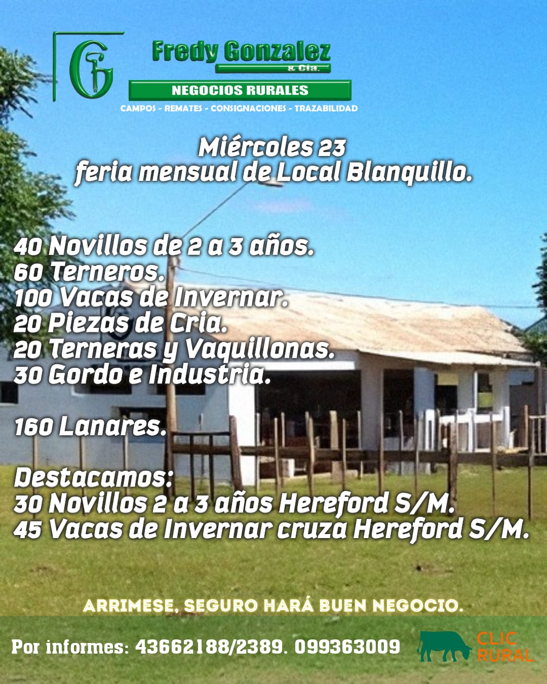 Feria mensual - Fredy Gonzales y Cia 