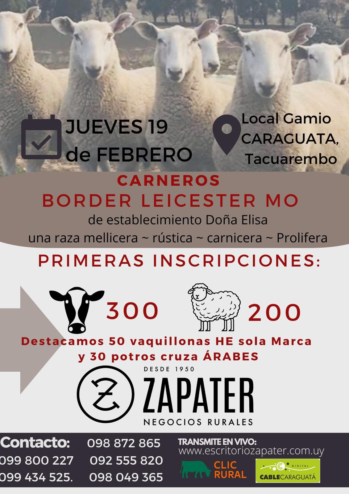 Feria Mensual - Local Gamio